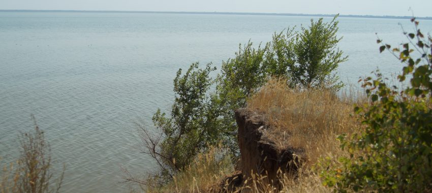 В отпуск, несмотря на ограничения. Часть 2. Алтайский край.