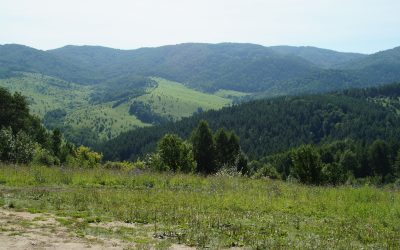 В отпуск, несмотря на ограничения. Часть 2. Алтайский край. Продолжение. Белокуриха.