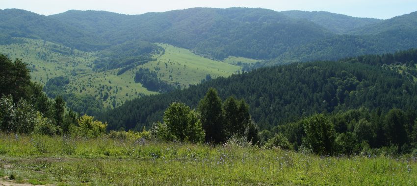 В отпуск, несмотря на ограничения. Часть 2. Алтайский край. Продолжение. Белокуриха.