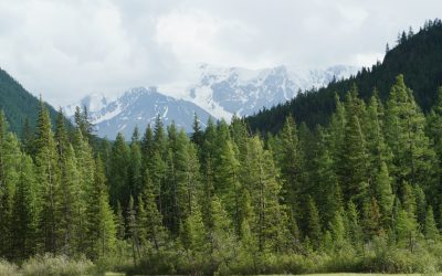 Снова отпуск. Снова Алтай. Часть 2. Чуйский тракт. День 6. Едем с Марса.